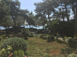 Apartments Krznarić Mali Losinj (Island Losinj)